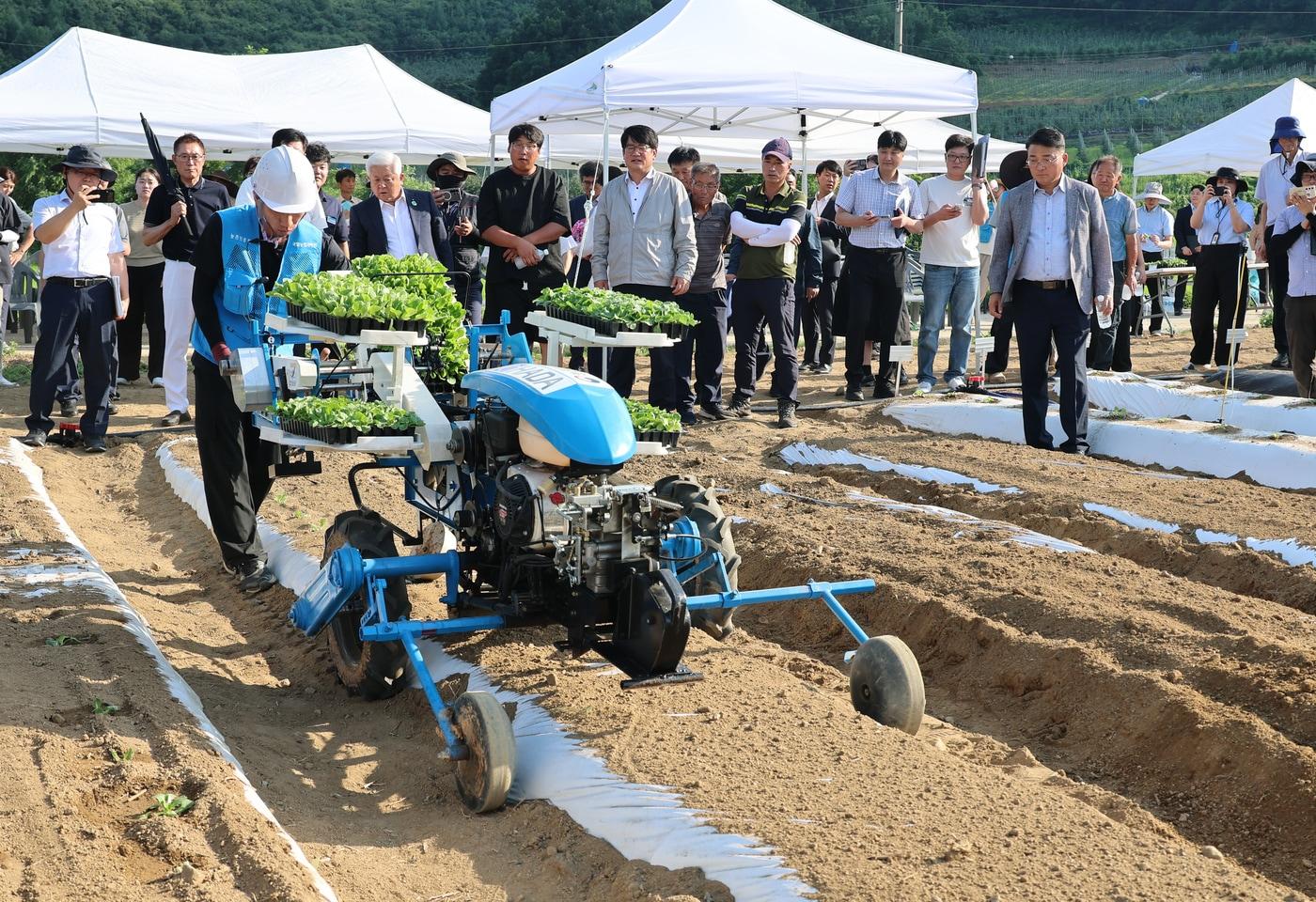 배추 아주심기&#40;정식&#41; 기계화 기술 현장 전시회 &#40;농촌진흥청 제공&#41; 2025.07.30 /뉴스1
