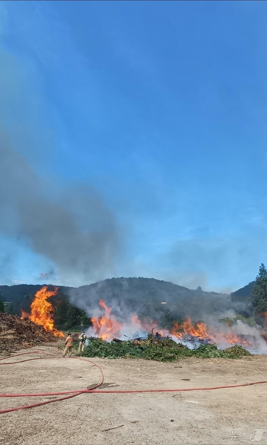 본문 이미지 - 30일 오후 2시 41분쯤 전남 여수시 신월동 한 폐목재 야적장에서 불이 나 소방당국이 진화 작업을 벌이고 있다.(여수소방 제공. 재판매 및 DB 금지)