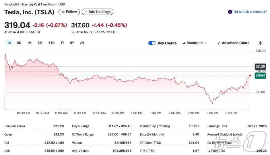 본문 이미지 - 테슬라 일일 주가추이 - 야후 파이낸스 갈무리