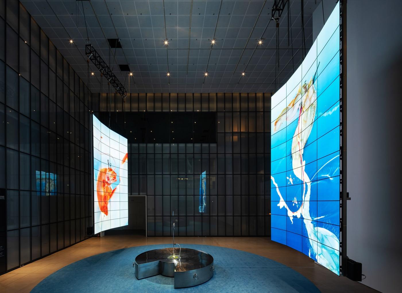 본문 이미지 - 국립현대미술관 서울의 '서울박스'에 전시된 미디어 아티스트 추수의 대형 설치 미술 '아가몬 대백과: 외부 유출본'. LG전자의 55형 OLED 스크린 총 88대로 만든 두 개의 초대형 스크린 월이 작가의 작품 세계를 더욱 몰입감 있게 구현한다.(제공: 국립현대미술관)