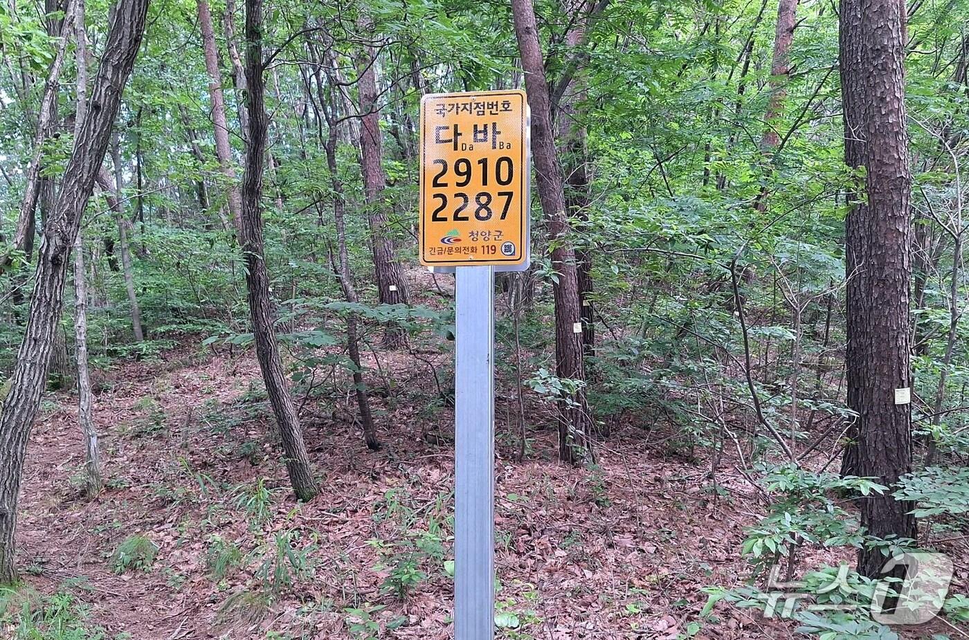 청양군, 금북정맥 등산로에 ‘국가지점번호판’ 20개소 설치 모습. (청양군 제공. 재판매 및 DB금지)2025.7.31/뉴스1