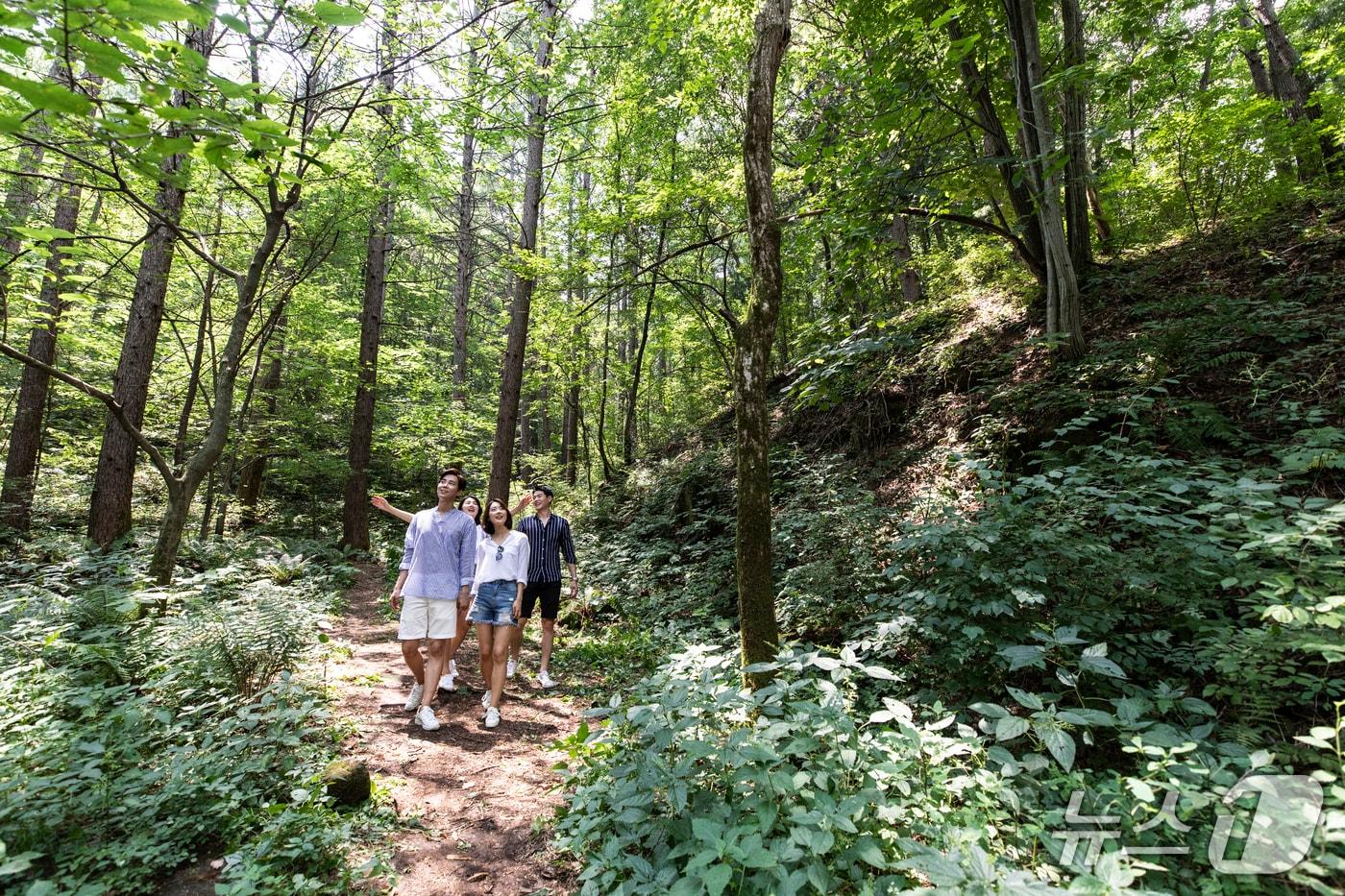 태기산 둘레길 숲체험(휘닉스 호텔앤드리조트 제공)