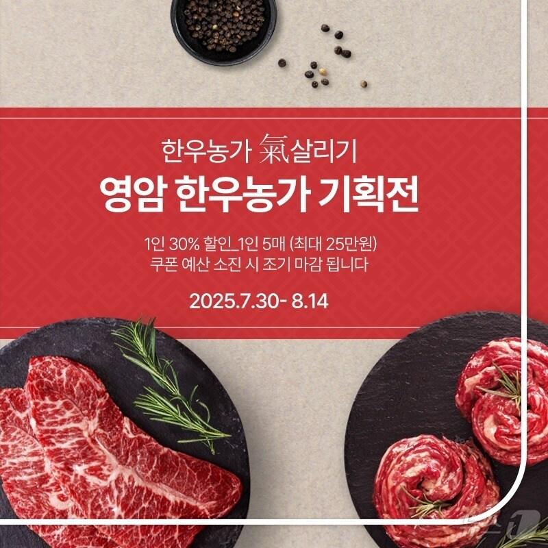 본문 이미지 - 남도장터 영암몰 한우프로모션 &#40;영암군 제공. 재판매 및 DB금지&#41; /뉴스1 