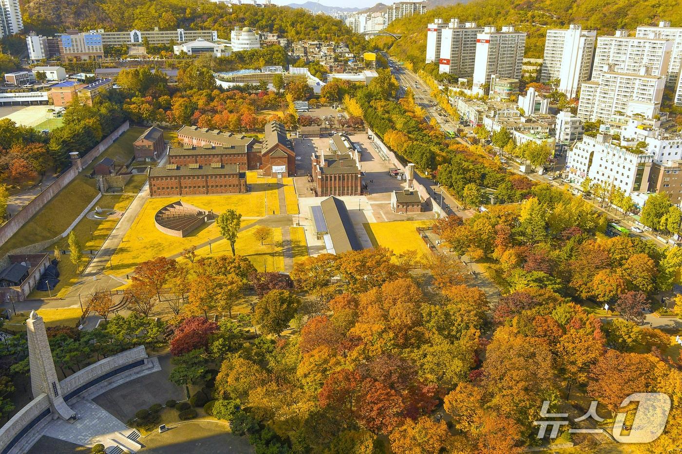 (서대문구청 제공)
