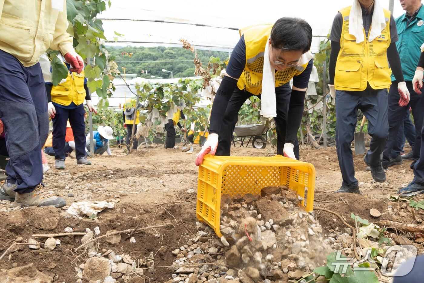 31일 오전 김동연 경기도지사가 가평군 호우피해 지역을 방문해 수해복구 자원봉사를 하고 있다.(경기도 제공. 재판매 및 DB금지)
