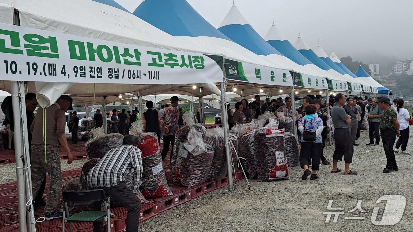 사진은 지난해 &#39;마이산 고추시장&#39;의 모습. &#40;진안군제공. 재판매 및 DB금지&#41;2025.7.31/뉴스1