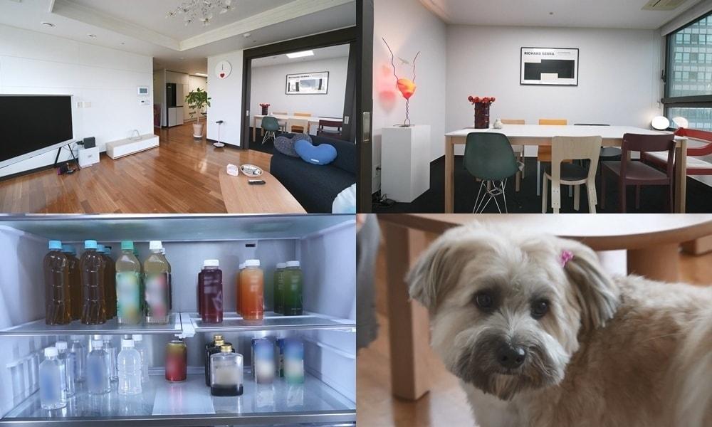 본문 이미지 - MBC