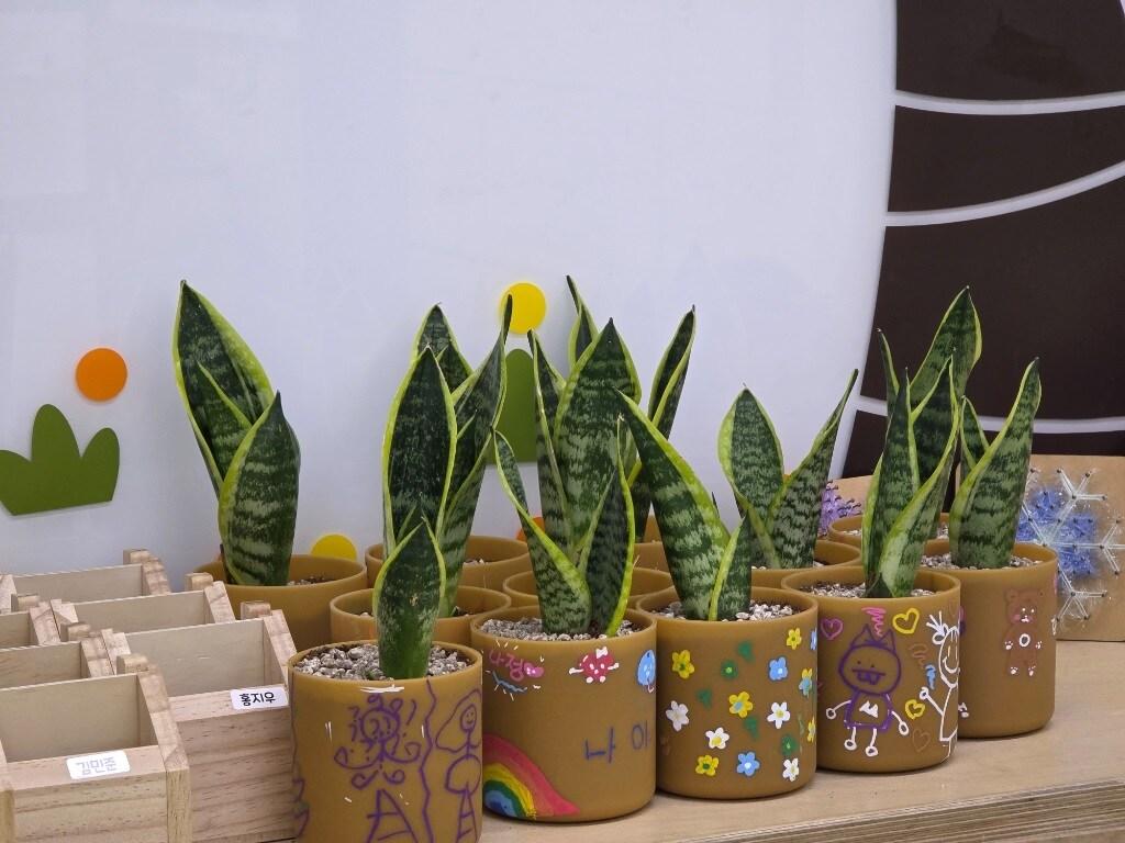 본문 이미지 - 쌀플라스틱 원형화분 만들기 체험 결과물(성동구 제공)
