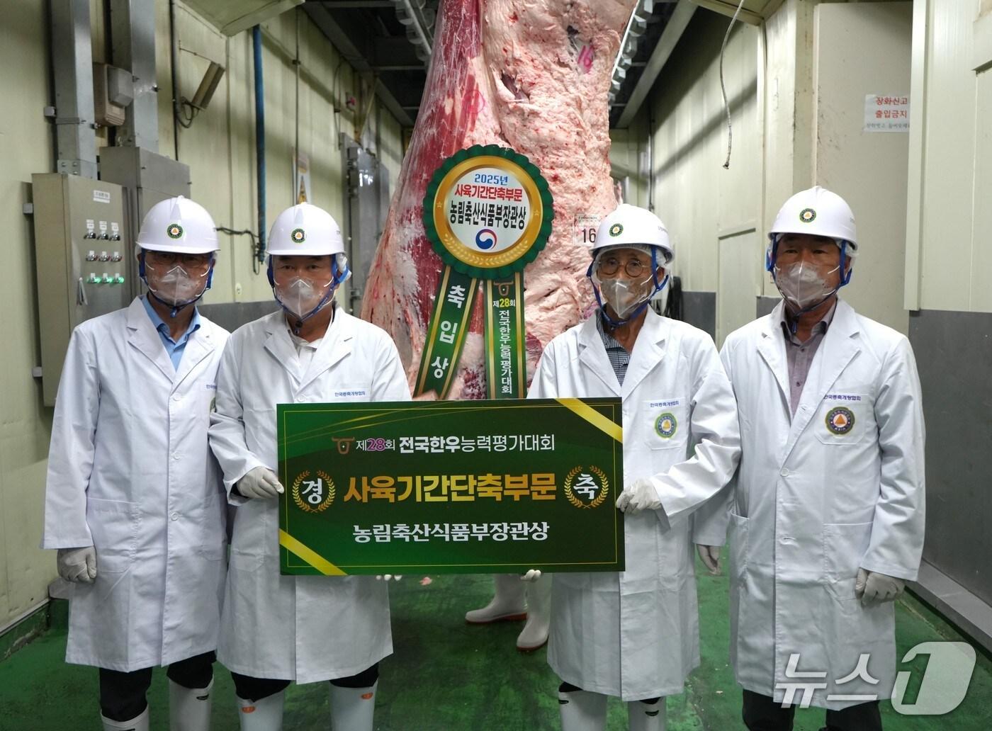 본문 이미지 - 제28회 전국한우능력평가대회에서 경주한우가 사육 기간 단축 부문에서 1, 2위를 차지했다. (경주시 제공, 재판매 및 DB금지) 2025.7.31/뉴스1