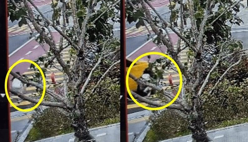 본문 이미지 - (인스타그램 갈무리)