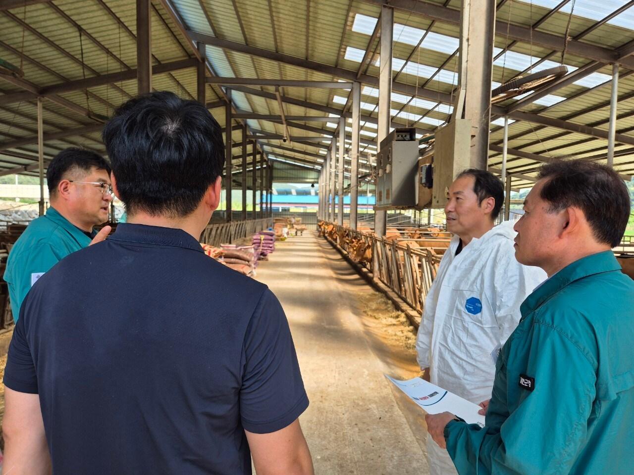 본문 이미지 - 강민구 농촌진흥청 국립축산과학원 축산생명환경부장이 31일 경상남도 합천군 율곡면에 위치한 한우농장을 방문해 집중호우로 인한 축사 침수 피해 상황을 점검하고 있다. &#40;농촌진흥청 제공&#41; 2025.07.31 /뉴스1