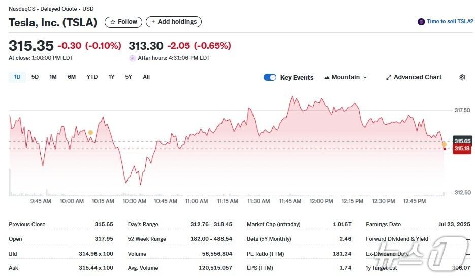 본문 이미지 - 테슬라 일일 주가추이 - 야후 파이낸스 갈무리