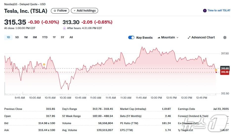 본문 이미지 - 테슬라 일일 주가추이 - 야후 파이낸스 갈무리