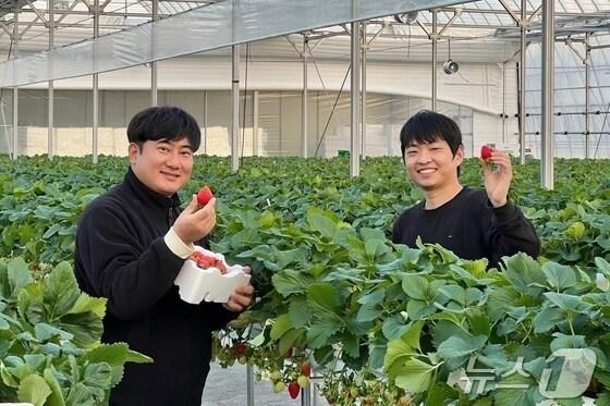 본문 이미지 -  4일 충북 충주시가 농업인 기초영농기술교육에 인공지능(AI)을 도입했다고 밝혔다.(자료사진)/뉴스1