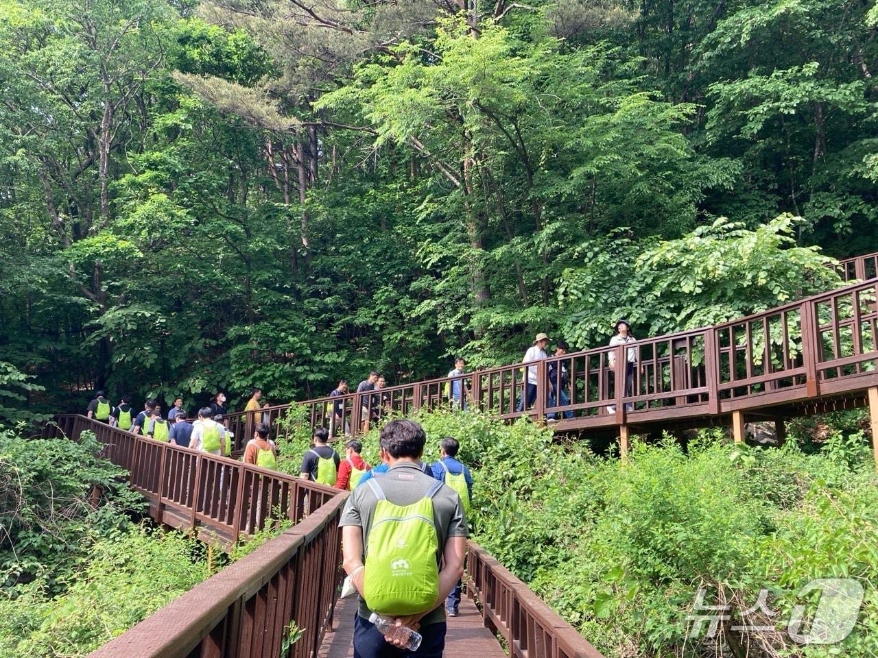 본문 이미지 - 2일 국립산림치유원에서 진행된 특수진화대원 대상 소진 회복 산림치유 프로그램. &#40;산림청 한국산림복지진흥원 제공.재판매 및 DB금지&#41;/뉴스1