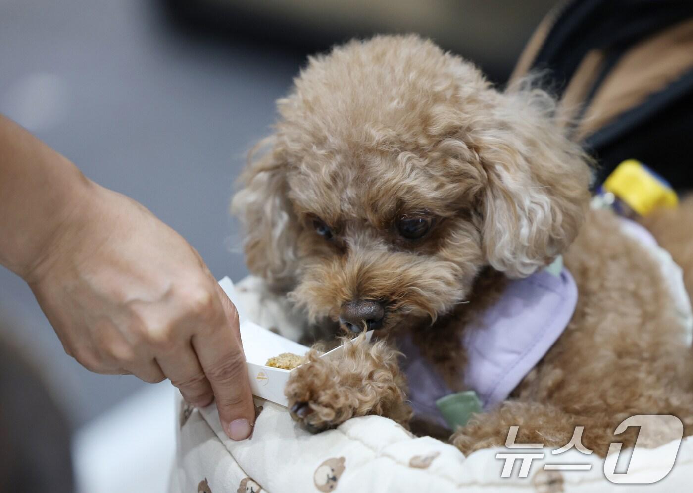 (자료사진) 2025.7.4/뉴스1 ⓒ News1 김영운 기자