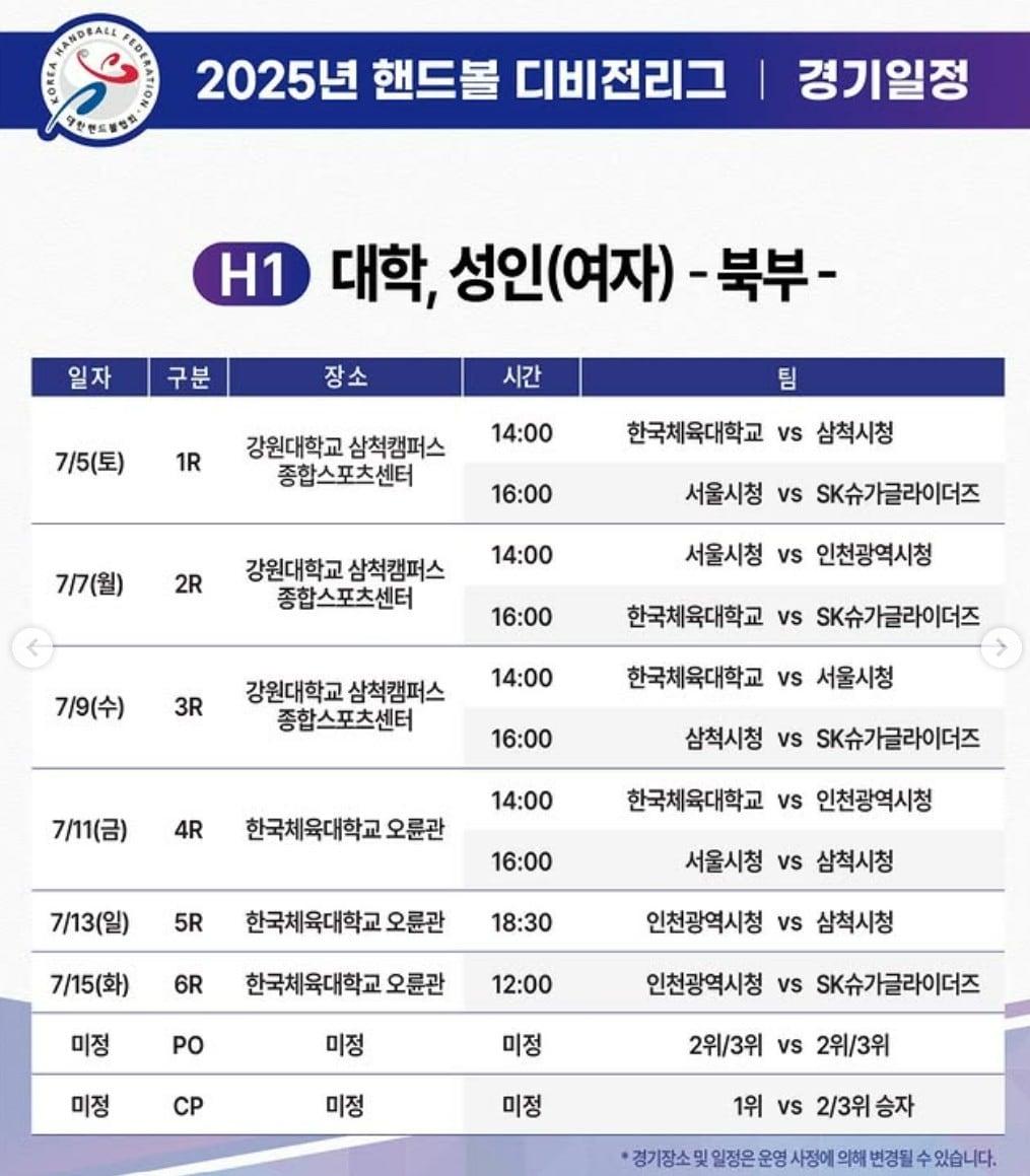 본문 이미지 - 핸드볼 디비전리그가 출범한다.(대한핸드볼협회 제공) 