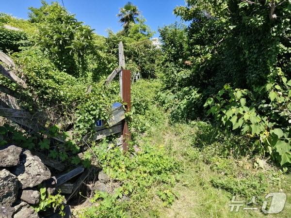 본문 이미지 -  60대 남성이 혼자 거주하던 제주시 삼양동의 한 주택의 정비 전 모습(삼양동 제공. 재판매 및 DB 금지)/뉴스1