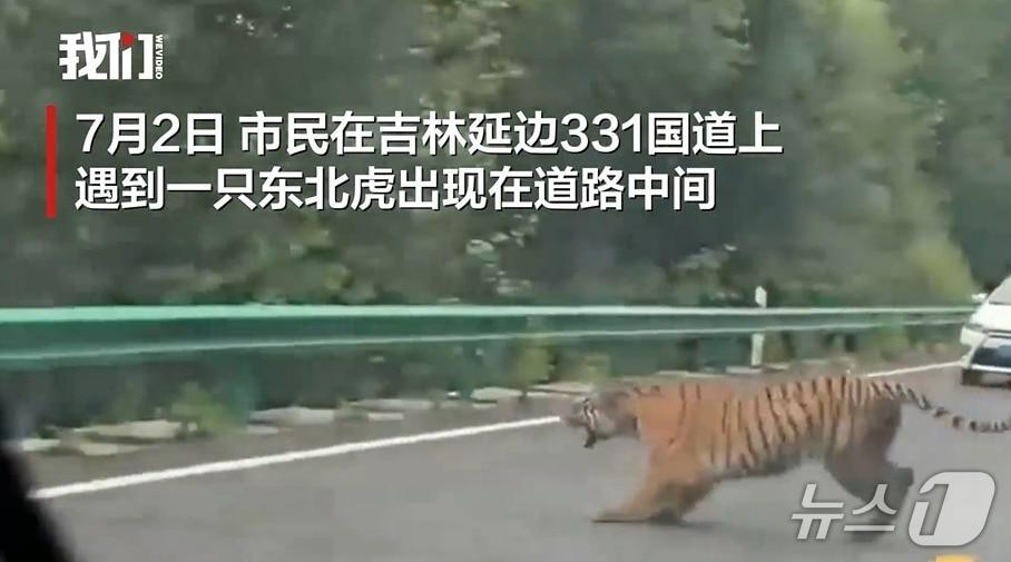 본문 이미지 -  (웨이보 영상 캡처)