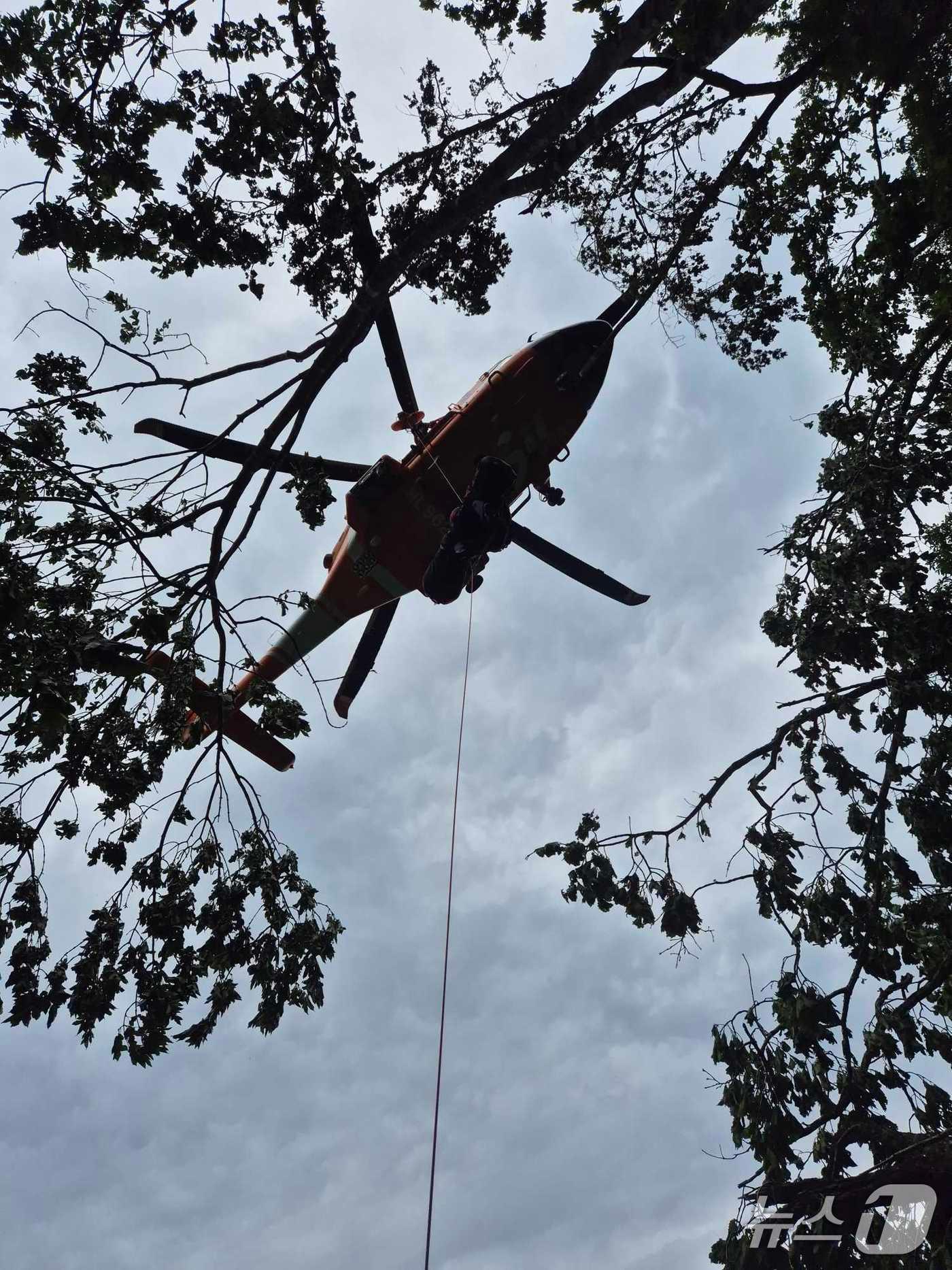 본문 이미지 - 소방이 정선 야산에서 추락한 환자를  헬기로 이송하고 있다.(강원도소방본부 제공, 재판매 및 DB금지)