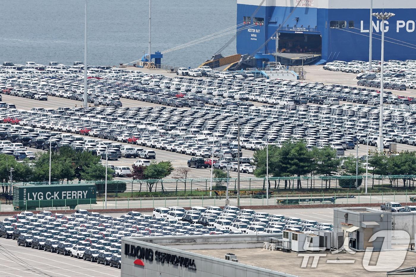 경기 평택시 포승읍 평택항 야적장에 수출용 차량들이 주차돼 있다. 2025.7.6/뉴스1 ⓒ News1 민경석 기자