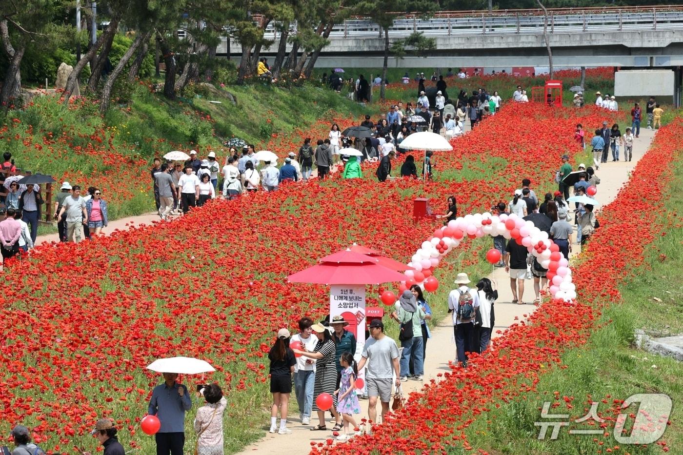 2025 괴산 빨간맛페스티벌을 찾은 관광객이 북적이는 모습.&#40;괴산군 제공, 재판매 및 DB금지&#41;/뉴스1