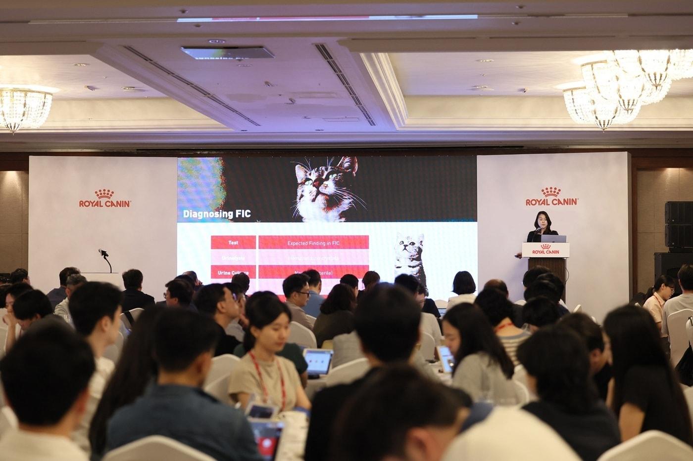 지난 6일 로얄캐닌 심포지엄에서 강연하고 있는 이기쁨 고려동물메디컬센터 원장&#40;로얄캐닌 제공&#41;