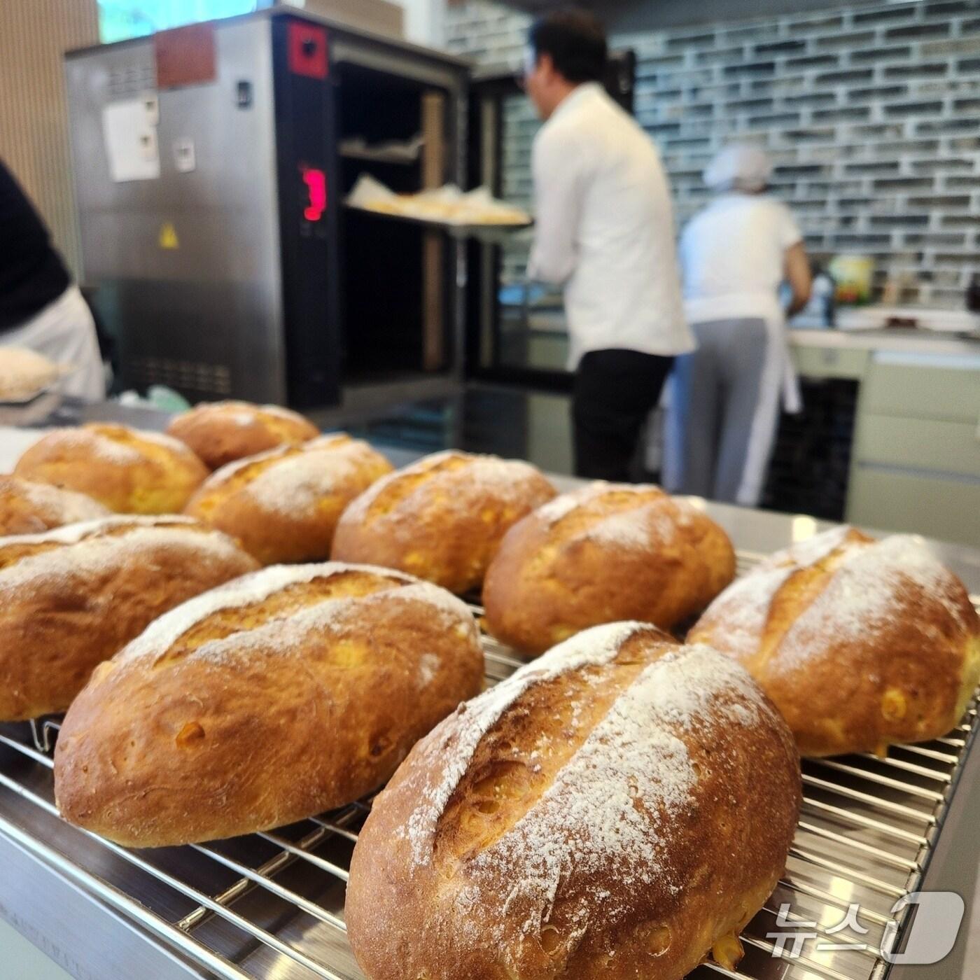 본문 이미지 -  8일부터 전북 진안군 직영 유통매체인 &#39;로컬푸드 직매장 진안점&#39;에 장애인 취업 지원형 즉석 베이커리인 &#39;꿈앤 베이커리&#39;가 운영된다.&#40;진안군제공. 재판매 및 DB금지&#41;2025.7.7/뉴스1