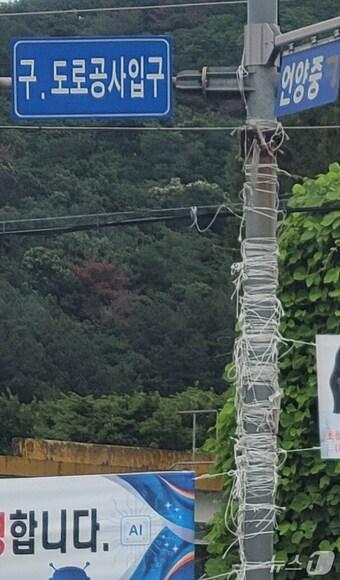 본문 이미지 - 울주군 지역 내 한 전신주의 불법현수막 잔재물. (울주군 제공. 재판매 및 DB 금지) /뉴스1