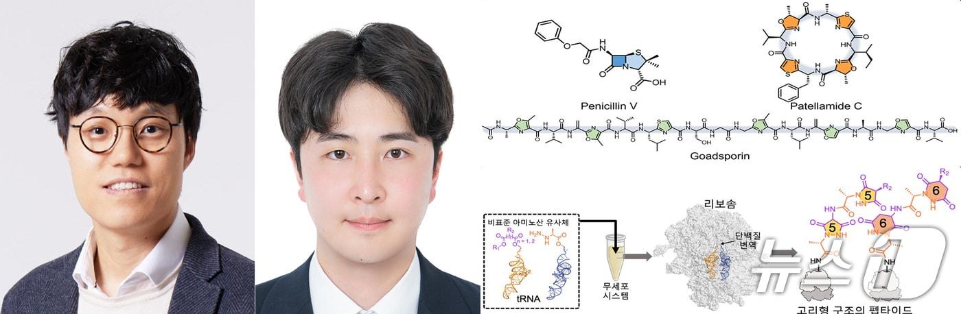 포스텍 이준구 교수 연구팀이 세계 최초로 리보솜을 이용해 기존의 선형을 넘어 고리형 구조를 포함한 단백질을 합성하는데 성공했다. &#40;포스텍 제공, 재판매 및 DB금자&#41; 2025.7.7/뉴스1
