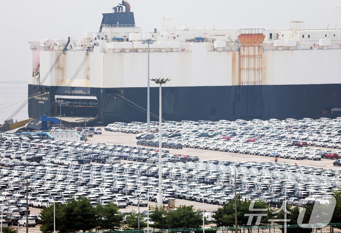 경기 평택시 포승읍 평택항에 수출용 차량들이 세워져 있는 모습. /뉴스1 ⓒ News1 김영운 기자