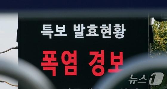 본문 이미지 - 자료사진/뉴스1