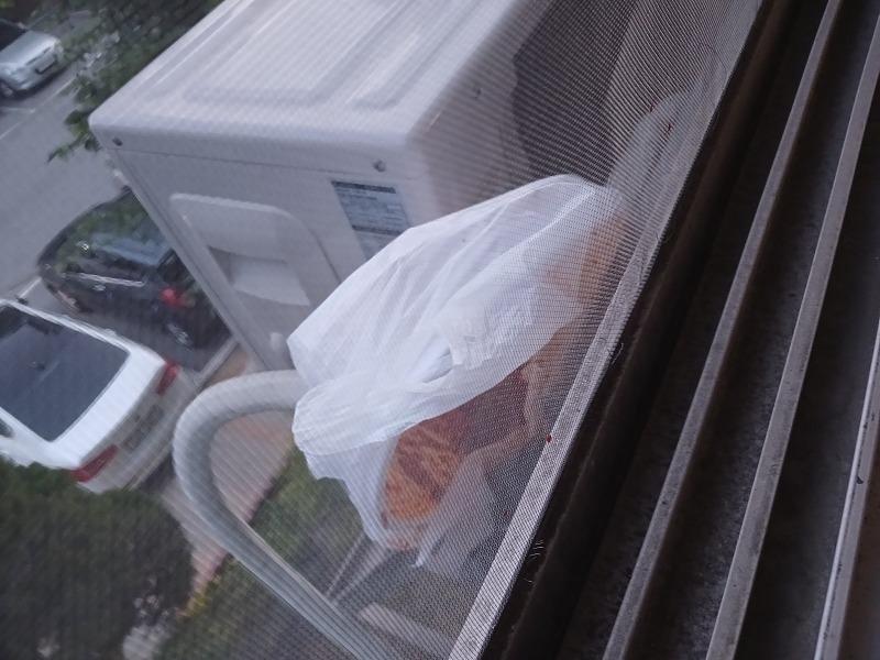 본문 이미지 - (보배드림 갈무리)