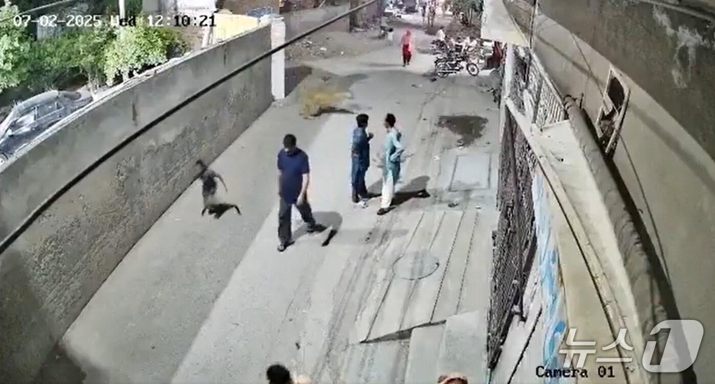 파키스탄에서 2일(현지시간) 애완용 사자가 탈출해 행인들을 공격하는 사건이 발생했다. (출처=엑스 갈무리) 2025.7.7./뉴스1