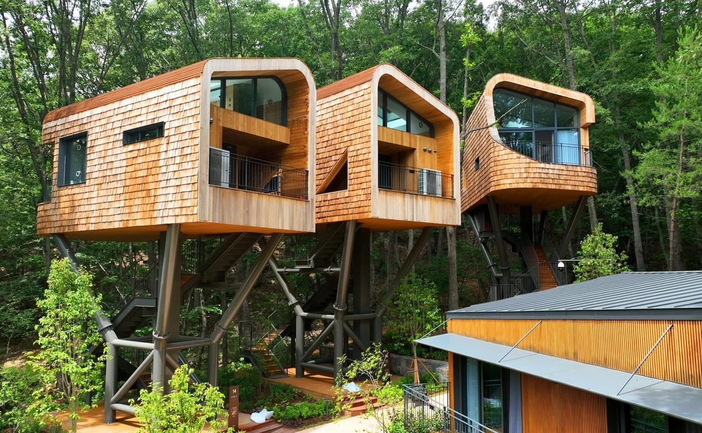 수락휴 트리하우스&#40;노원구 제공&#41;