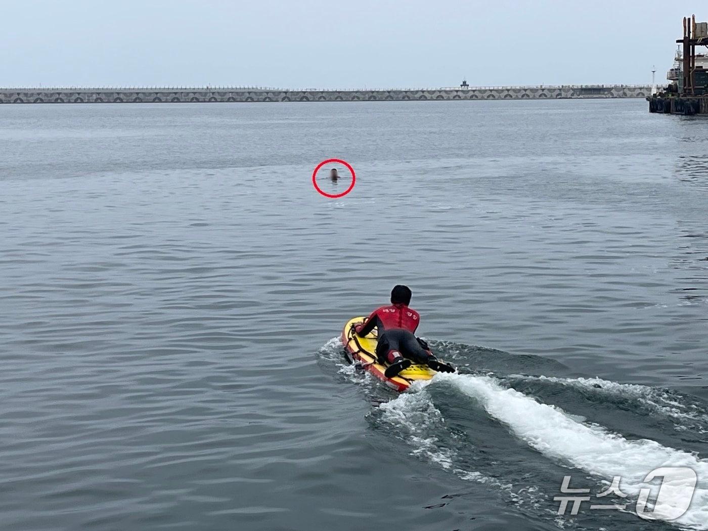 본문 이미지 - 지난 7일 오후 강원 속초 속초해경 전용부두 인근 해상에서 진행된 구조·구급 대응 훈련에 동참한 기자.원 안은 요구조자.&#40;속초해경 제공, 재판매 및 DB 금지&#41; 2025.7.8/뉴스1