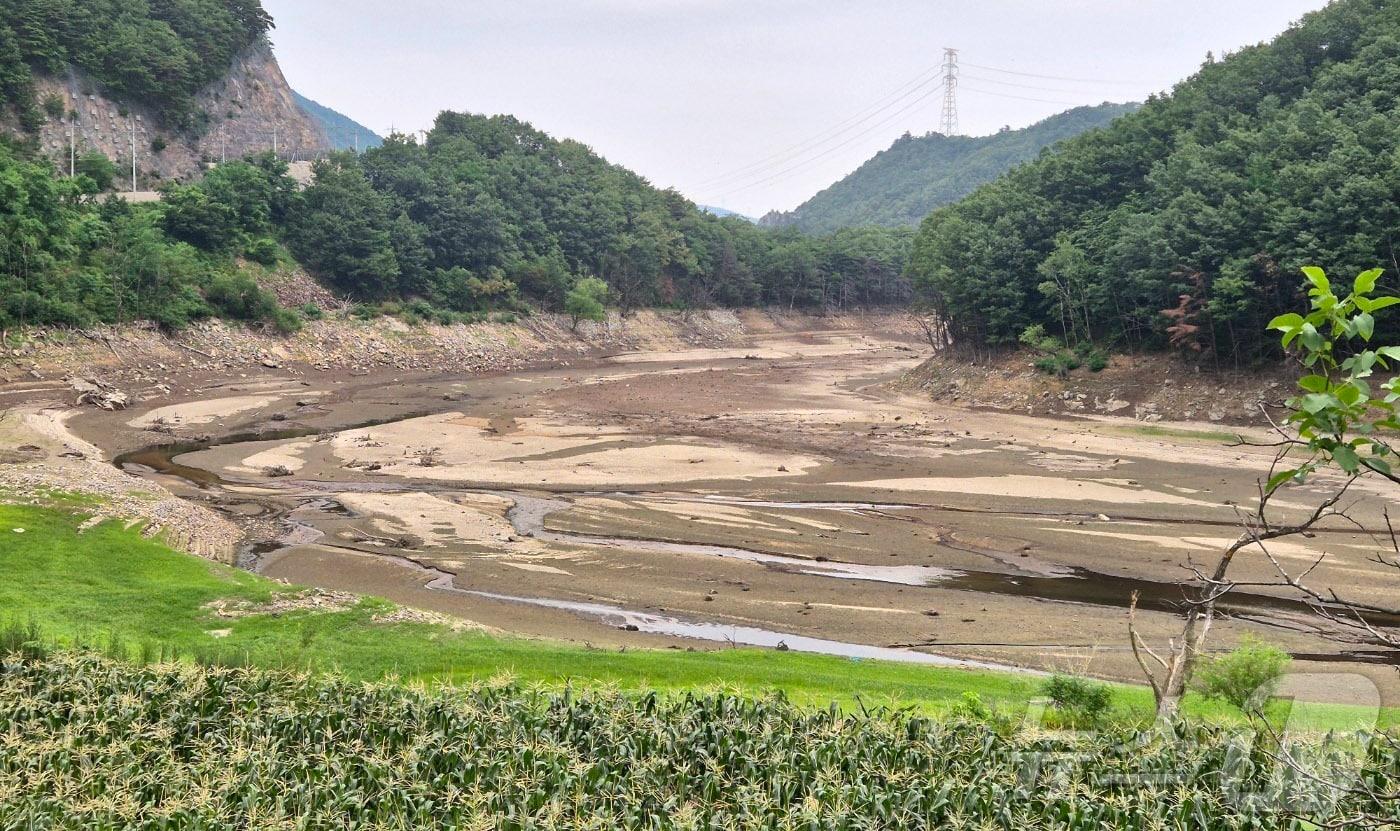 지난 8일 강원 강릉시 성산면 오봉저수지 인근 도마천 일대가 바닥을 드러내고 있다. (뉴스1 DB) ⓒ News1 윤왕근 기자