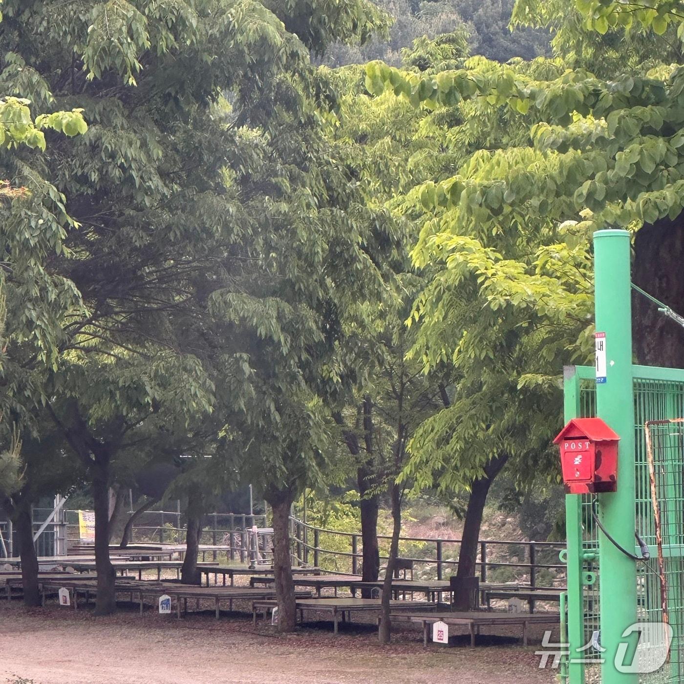 본문 이미지 - 지난 6월 경기 연천군 아미천 동막계곡 일대 하천변으로 가는 길을 통제하고 영업을 벌이는 음식점. 뉴스1 보도 이후 경기도와 연천군은 합동점검을 벌여 행정조치했다. 2025.6.19/뉴스1 ⓒ News1 이상휼 기자