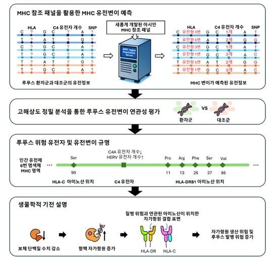 본문 이미지 - 배상철 한양대류마티스병원 교수팀 등 연구 성과.(한양대병원 제공)