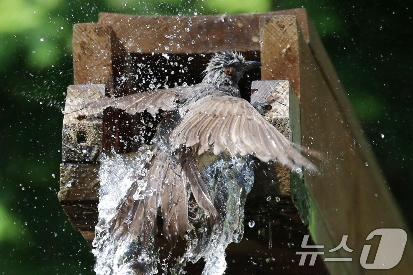 자료사진/뉴스1 ⓒ News1