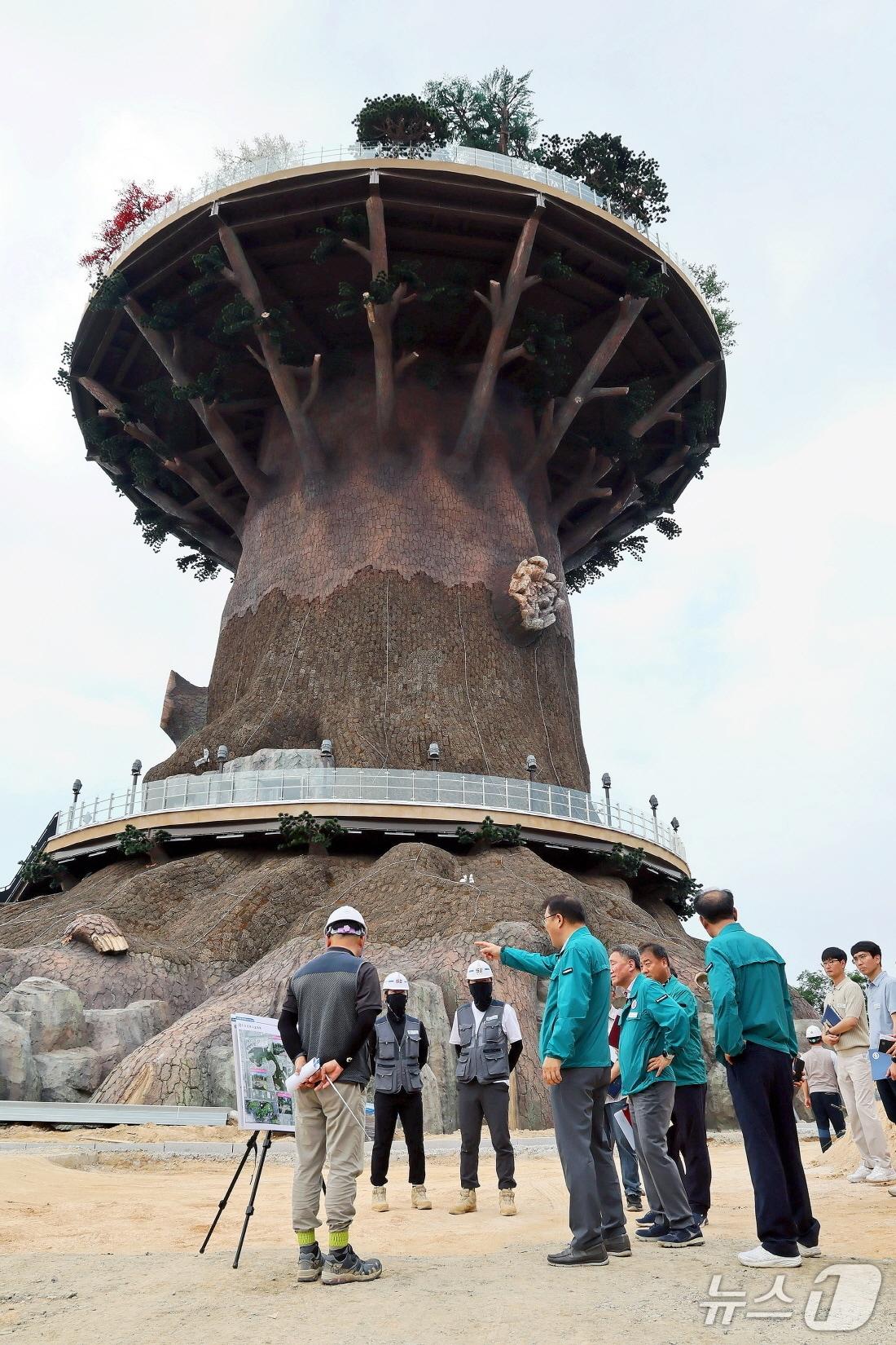 본문 이미지 - 장금용 창원시장 권한대행을 비롯한 창원시 관계자들이 8일 빅트리 조성 현장에서 현장 점검을 실시하고 있다.(창원시 제공. 재판매 및 DB금지)