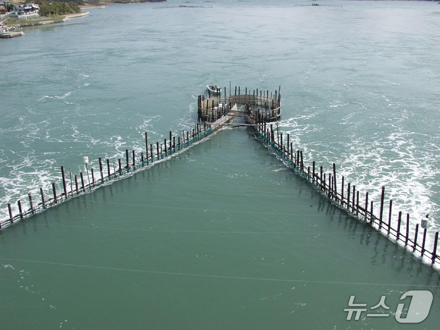 본문 이미지 - 남해 지족해협 죽방렴&#40;해양수산부 제공&#41;