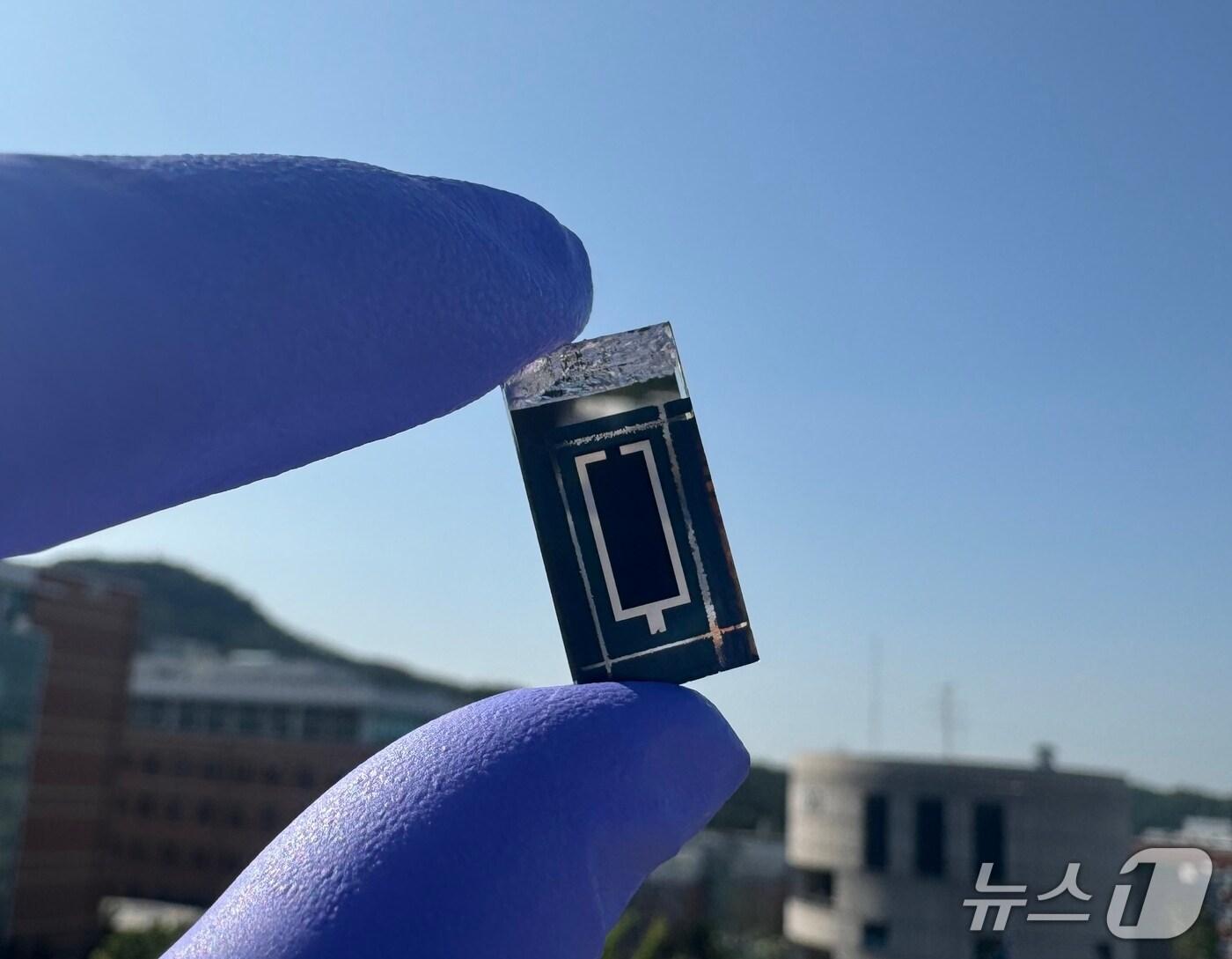 본문 이미지 - 세계최고효율을 기록한 페로브스카이트·CIGS 탠덤 태양전지(김진영 서울대 교수 제공) /뉴스1