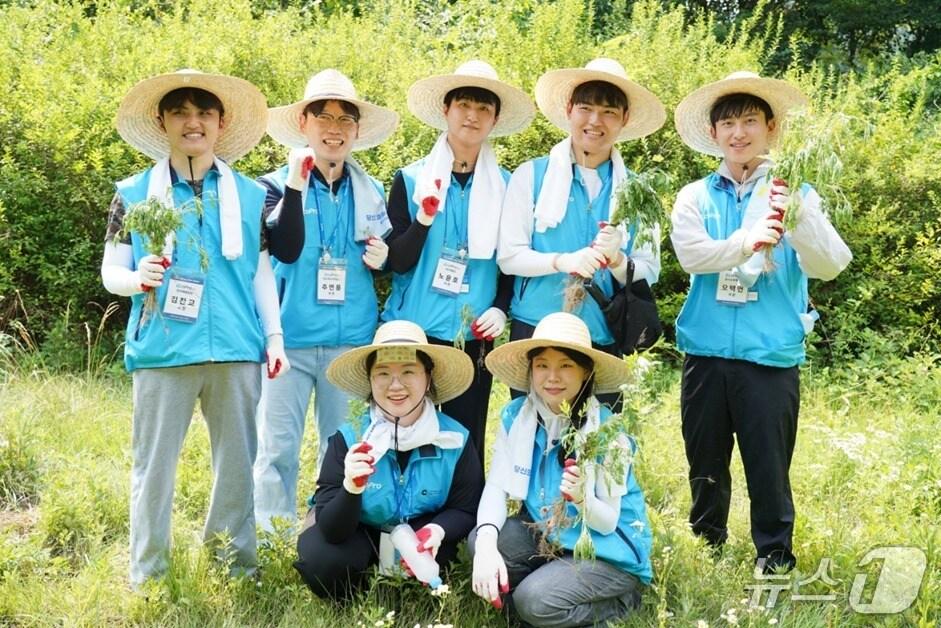 본문 이미지 - 에코프로 국립공원 외래 식물 제거 봉사활동.(에코프로 제공. 재판매 및 DB금지)/뉴스1 