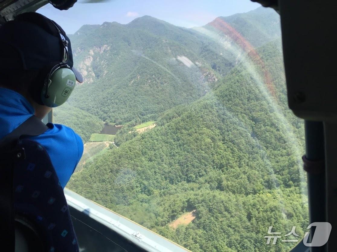 본문 이미지 - 헬기를 이용한 항공예찰 광경(산림청 제공.재판매 및 DB금지)/뉴스1