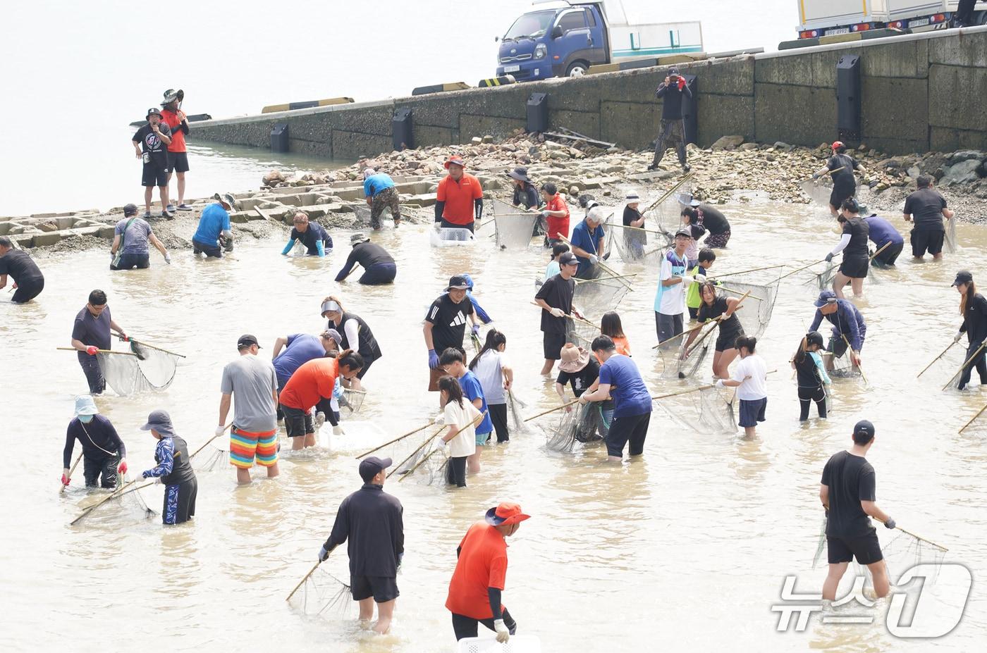 지난해 삼길포항 일원에서 열린 삼길포우럭축제 고기잡기 체험 프로그램 모습(서산시 제공. 재판매 및 DB금지) 2025.7.9 /뉴스1