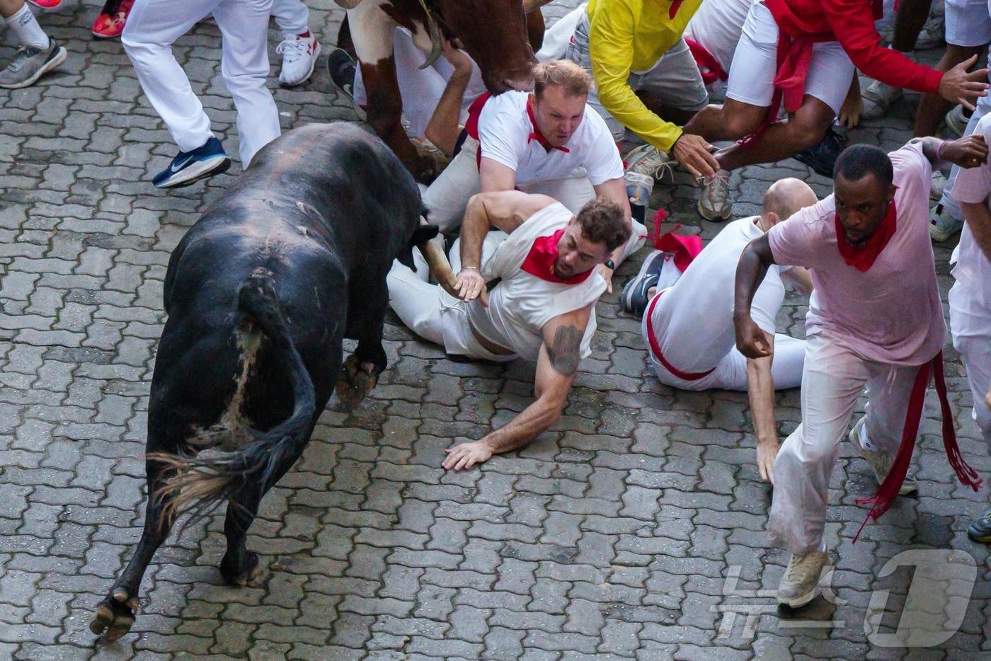스페인 북부 팜플로나에서 열린 산 페르민 축제 엔시에로 행사에서 한 참가자가 황소에 맞아 넘어지고 있다. 2024.7.8 ⓒ AFP=뉴스1 ⓒ News1 김경민 기자