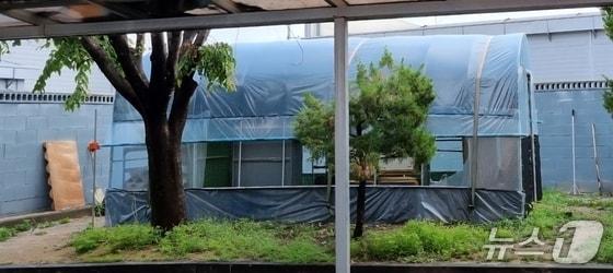 본문 이미지 - 보은소방서장이 소방서 내에 개인적으로 설치한 불법 닭장.(독자제공. 재판매 및 DB금지)/뉴스1