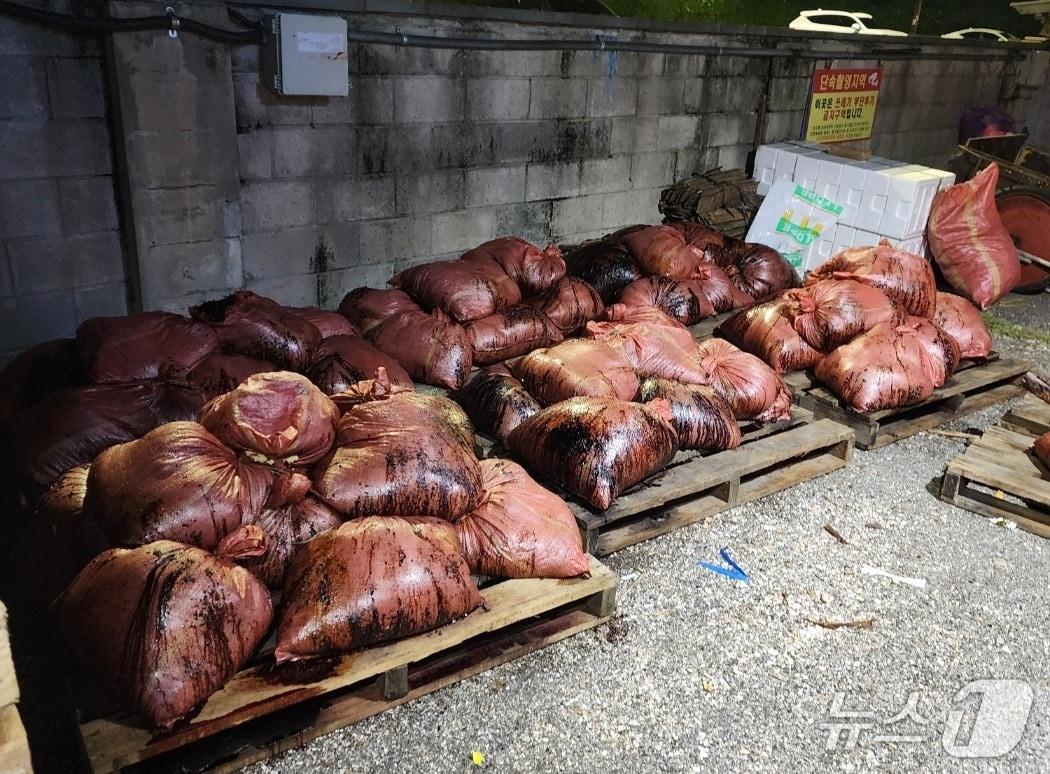 본문 이미지 - 울산 동구에 고래 창자, 뼈 등이 마대 자루에 담겨 불법 배출된 모습.(전국민주연합노동조합 제공. 재판매 및 DB금지)/뉴스1