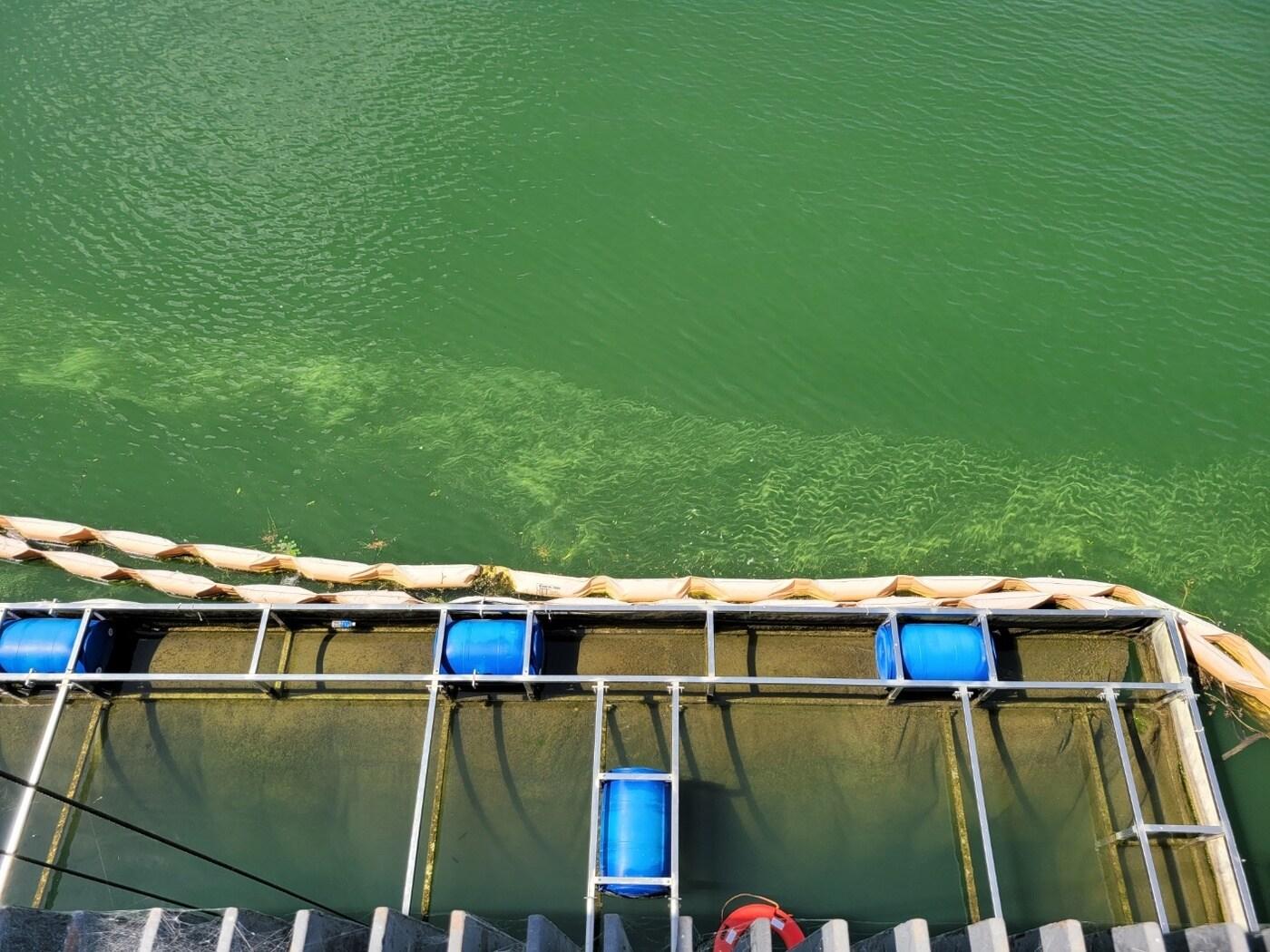 본문 이미지 - 지난달 22일 촬영한 대청호 취수탑.(청주시 제공. 재판매 및 DB금지)./뉴스1